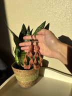 Someone Special Keychain Pack (XS)